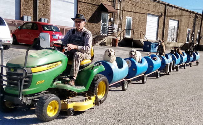 80-Year-Old Grandpa's PAW-tastic Creation For Rescued Dogs Will Melt Your Heart