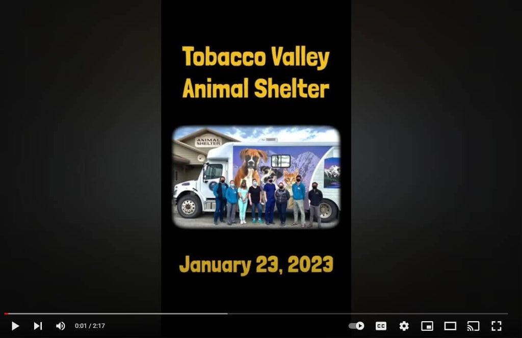 Tobacco Valley Animal Shelter On-Site Visit