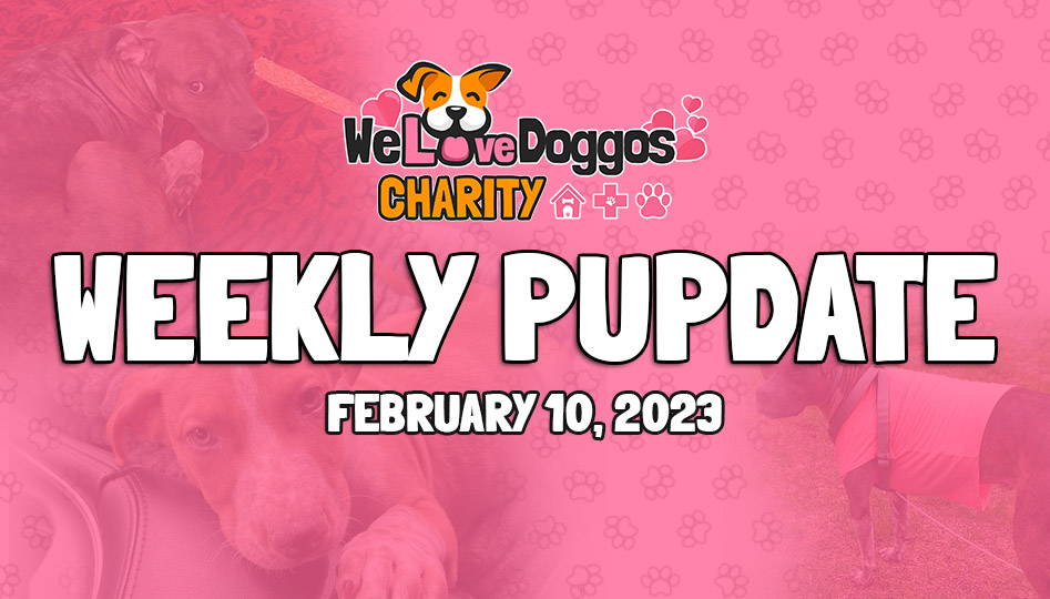 Weekly Charity PUPdate - February 2023 Week 2